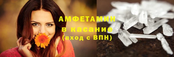гашик Россошь