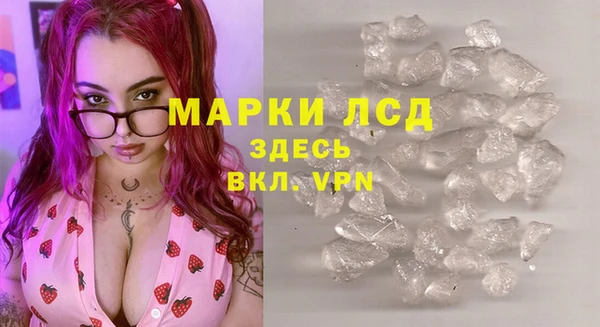 гашик Россошь