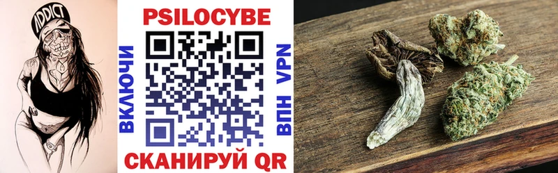 Купить закладки  Мещовск  Псилоцибиновые грибы прущие грибы 